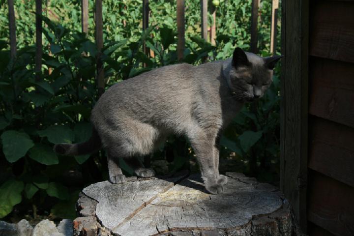 2012-07 001.JPG